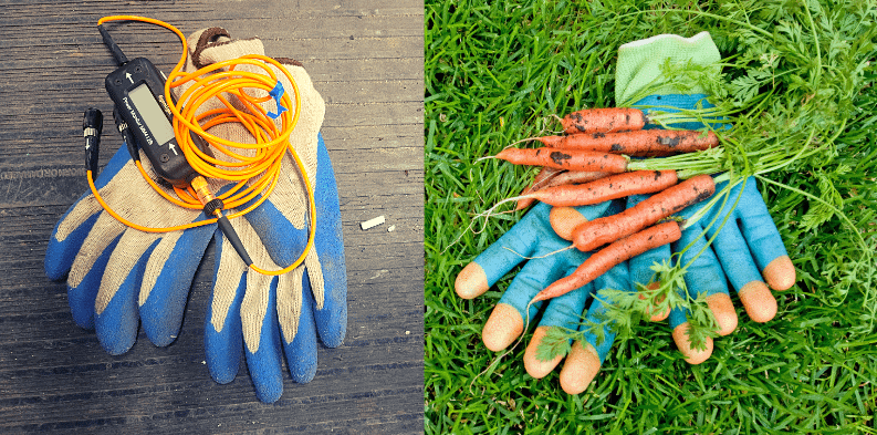 Gloves with cables and gloves with carrots